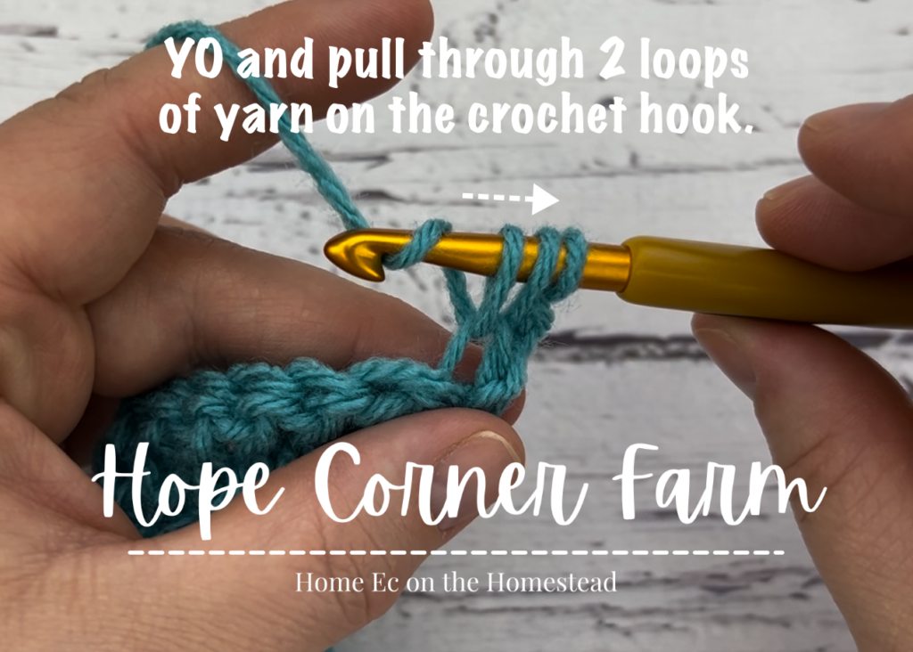 Yarn over and pull through 2 loops of yarn on the crochet hook