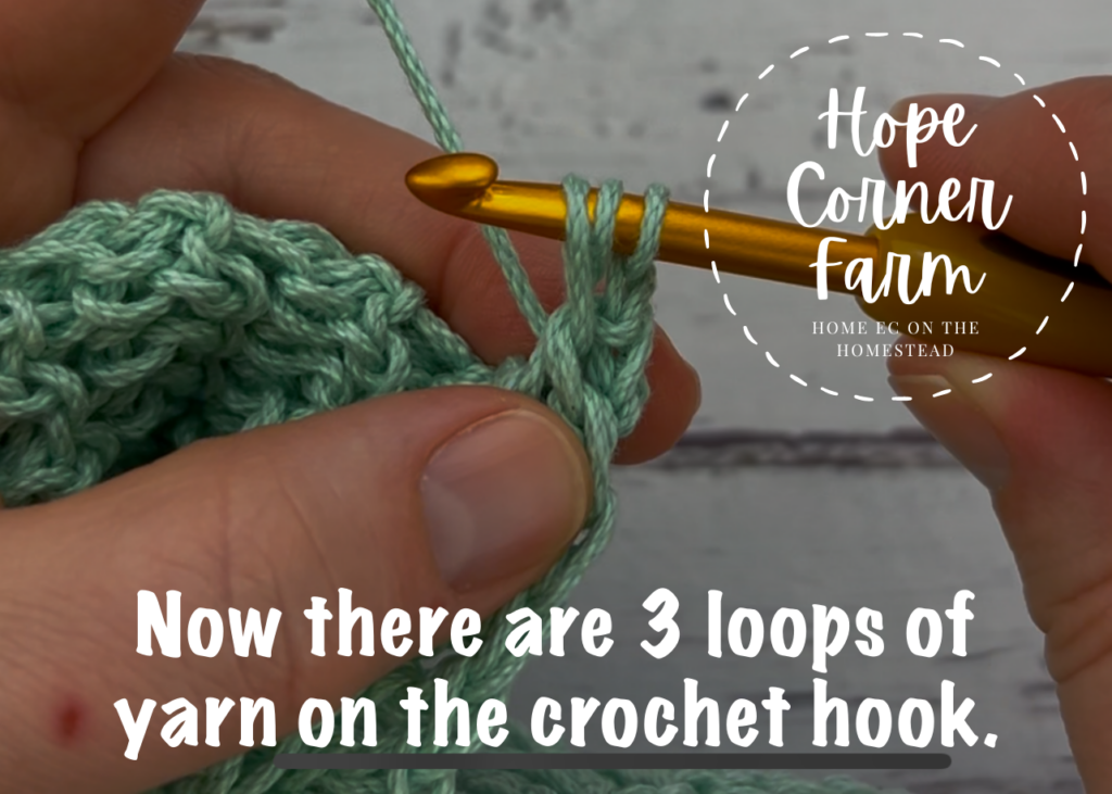 3 loops of yarn on the crochet hook