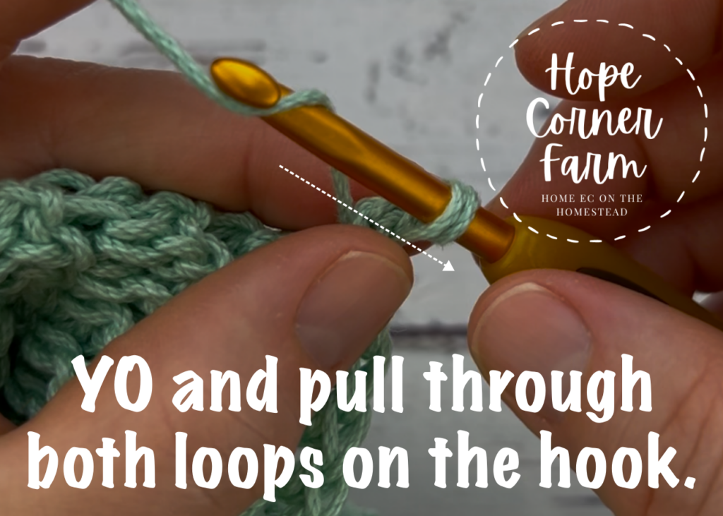 yarn over and pull through both loops on the hook