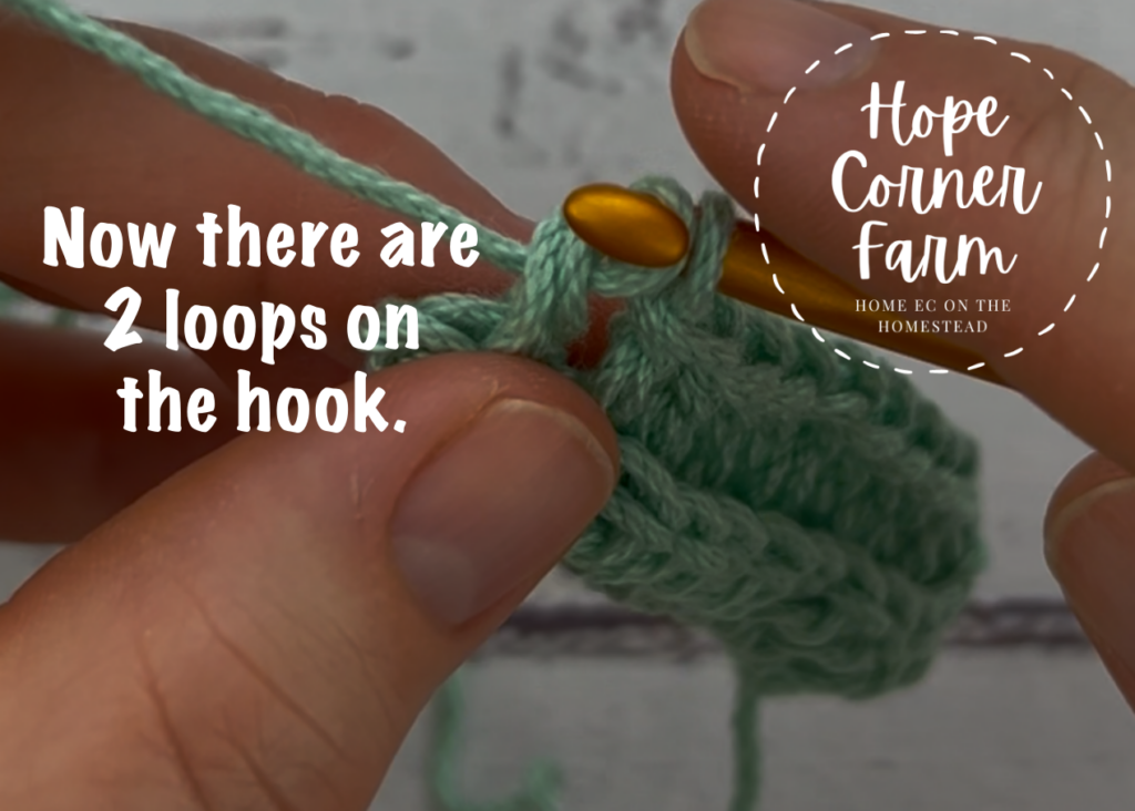 Now there are 2 loops of yarn on the hook