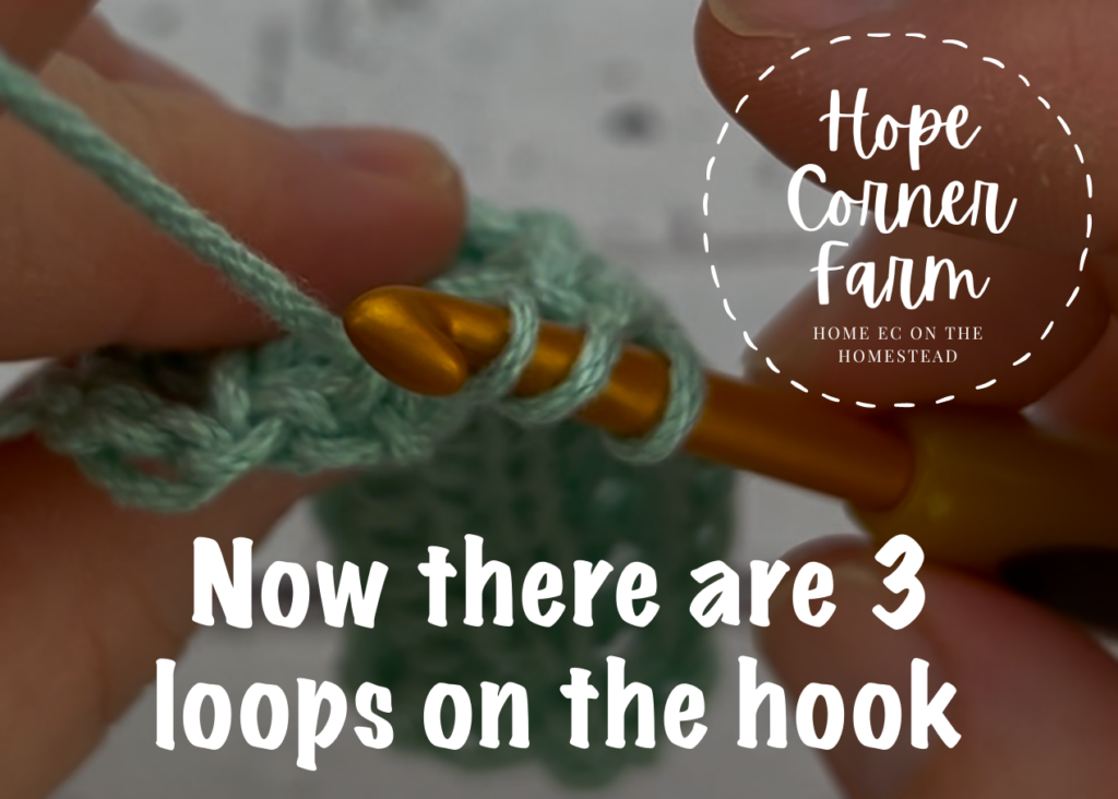 3 loops of yarn on the hook