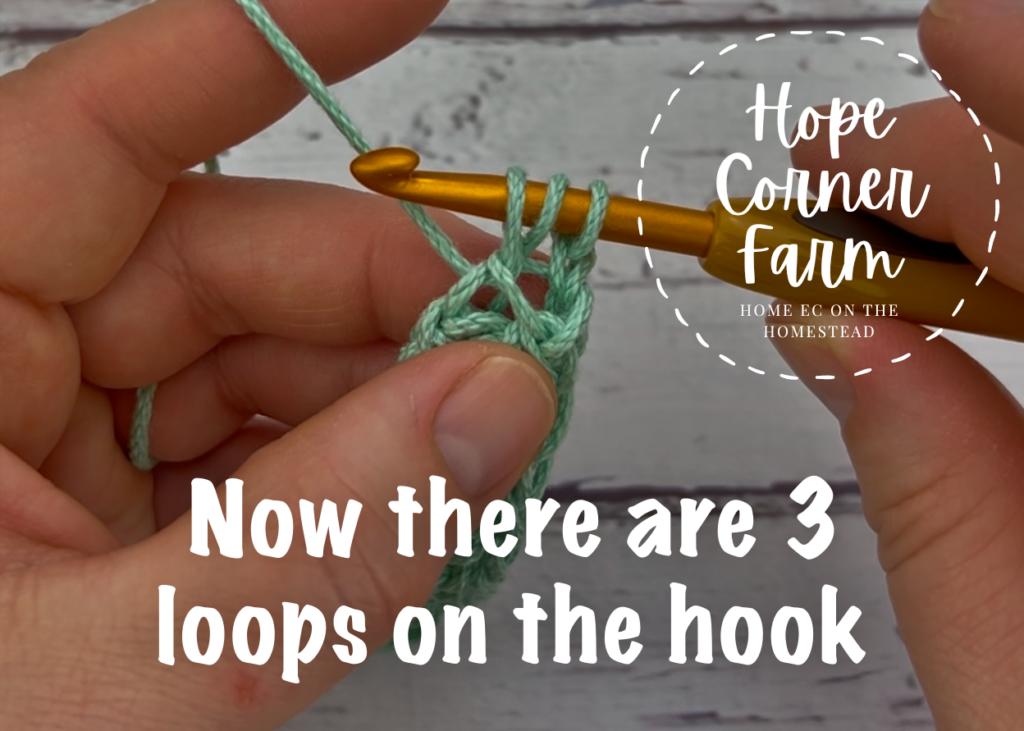 now there are 3 loops on the crochet hook