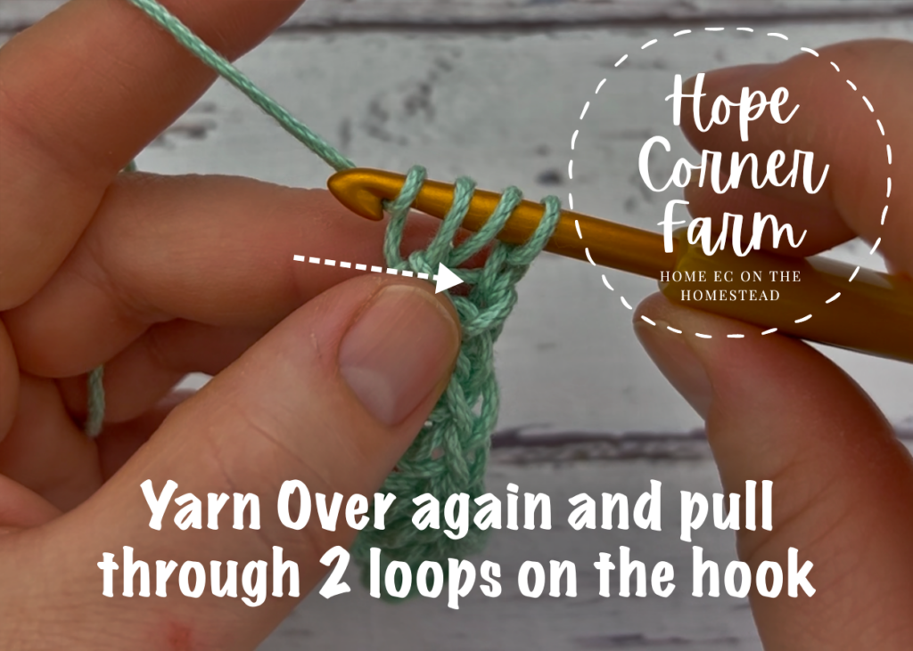 Yarn over and pull through 2 loops on the crochet hook