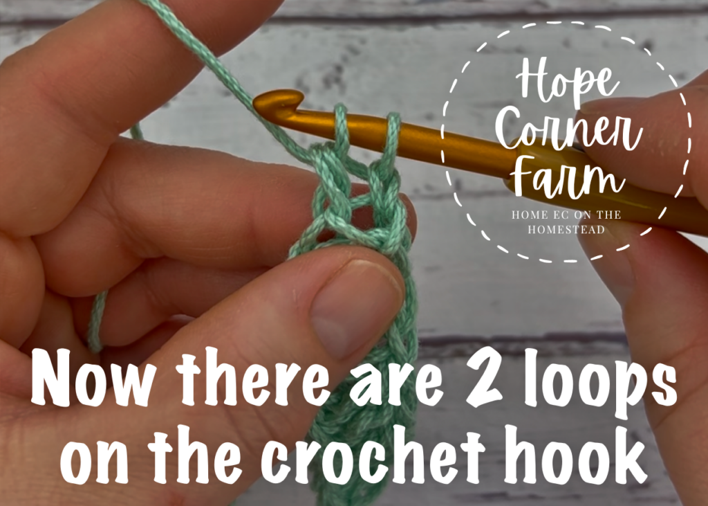 Now there are 2 loops on the crochet hook