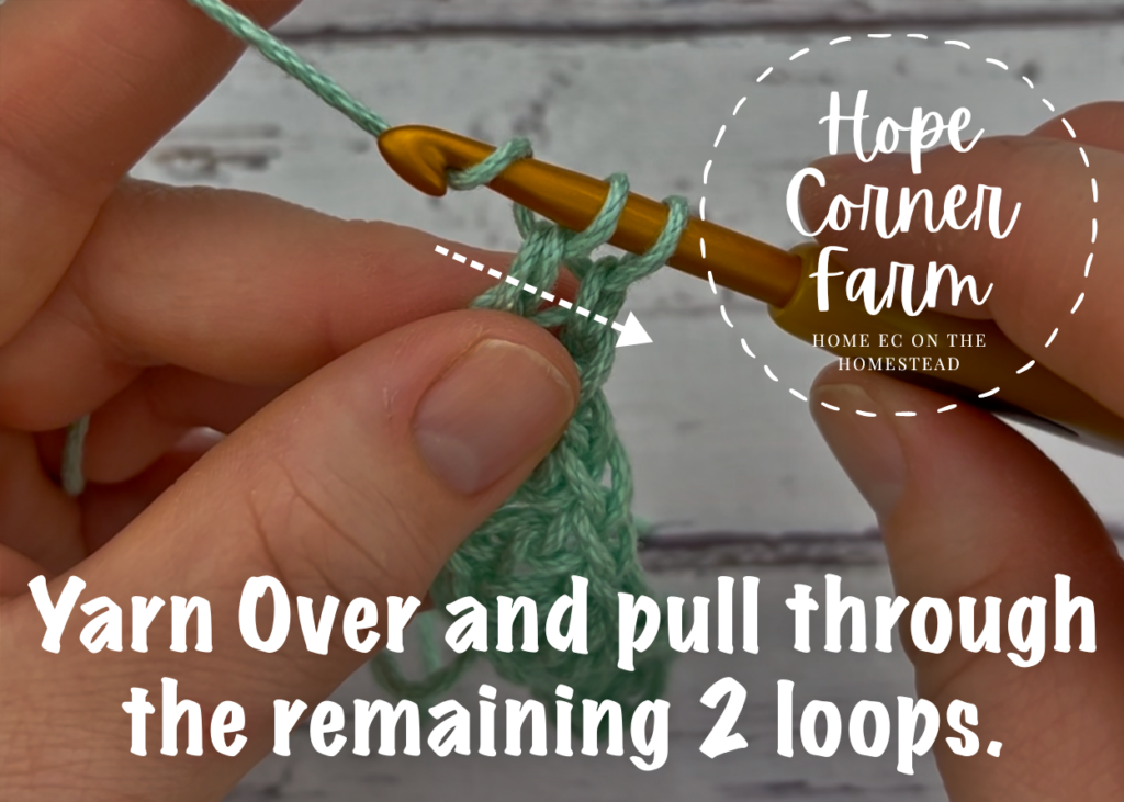 yarn over and pull through the remaining 2 loops