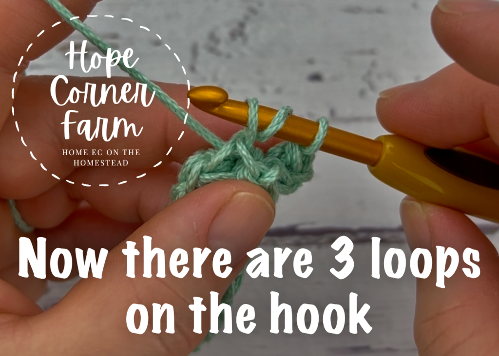 now there are 3 loops on the crochet hook