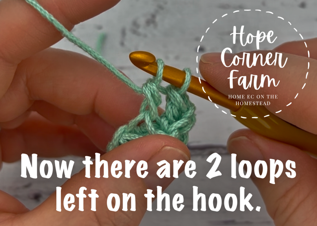 2 loops of yarn left on the crochet hook