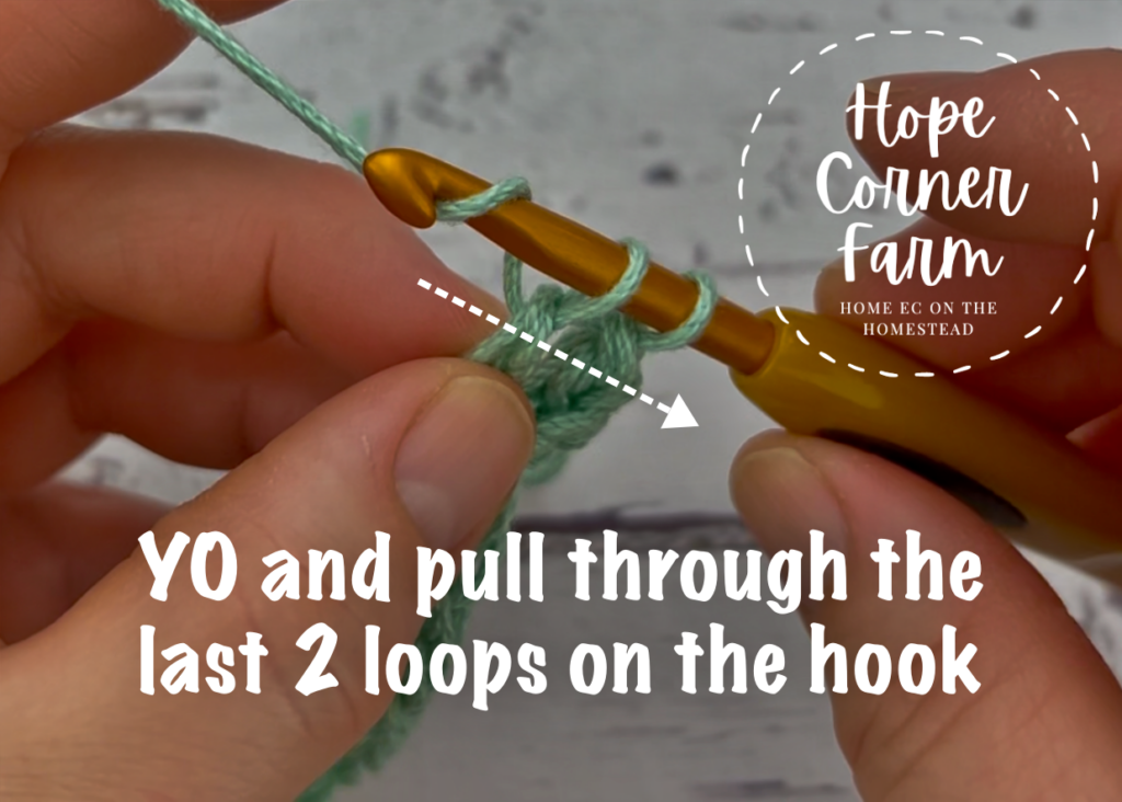 Yarn over and pull through the last 2 loops on the hook