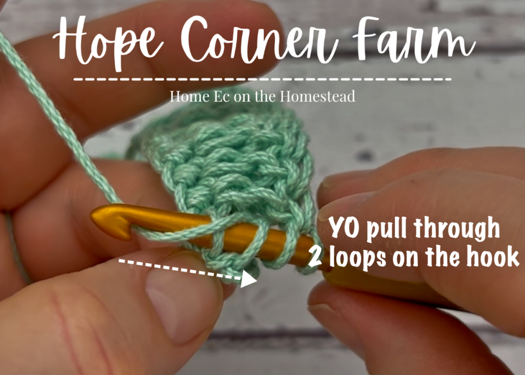 yarn over and pull through 2 loops on the hook