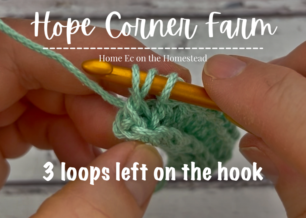 3 loops of yarn on the crochet hook