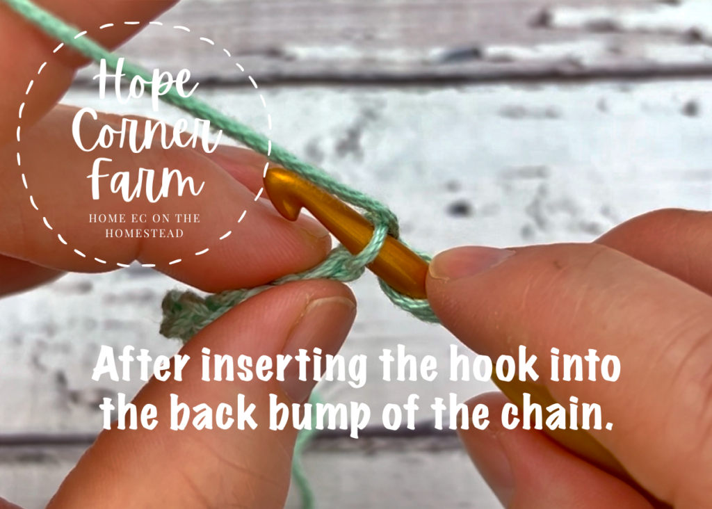 inserting the crochet hook into the back bump of the chain