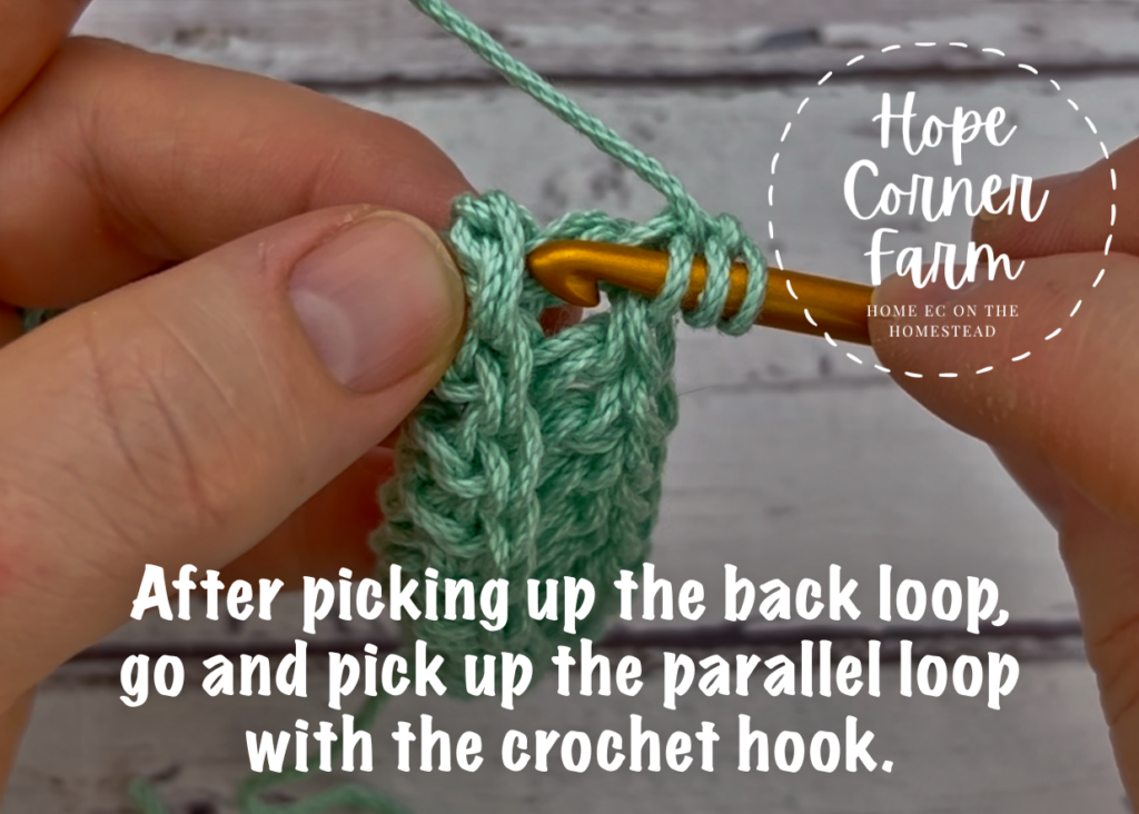 After picking up the back loop, go and pick up the parallel loop with the crochet hook