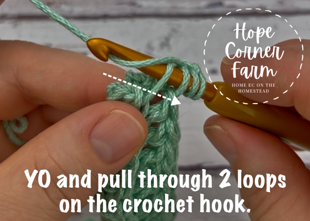 YO and pull through 2 loops of yarn on the crochet hook