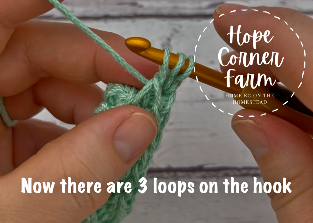 Now there are 3 loops on the crochet hook