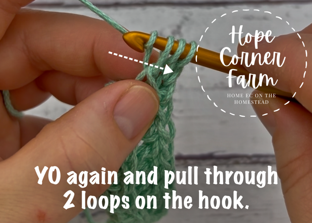 Yarn over again and pull through 2 loops on the hook