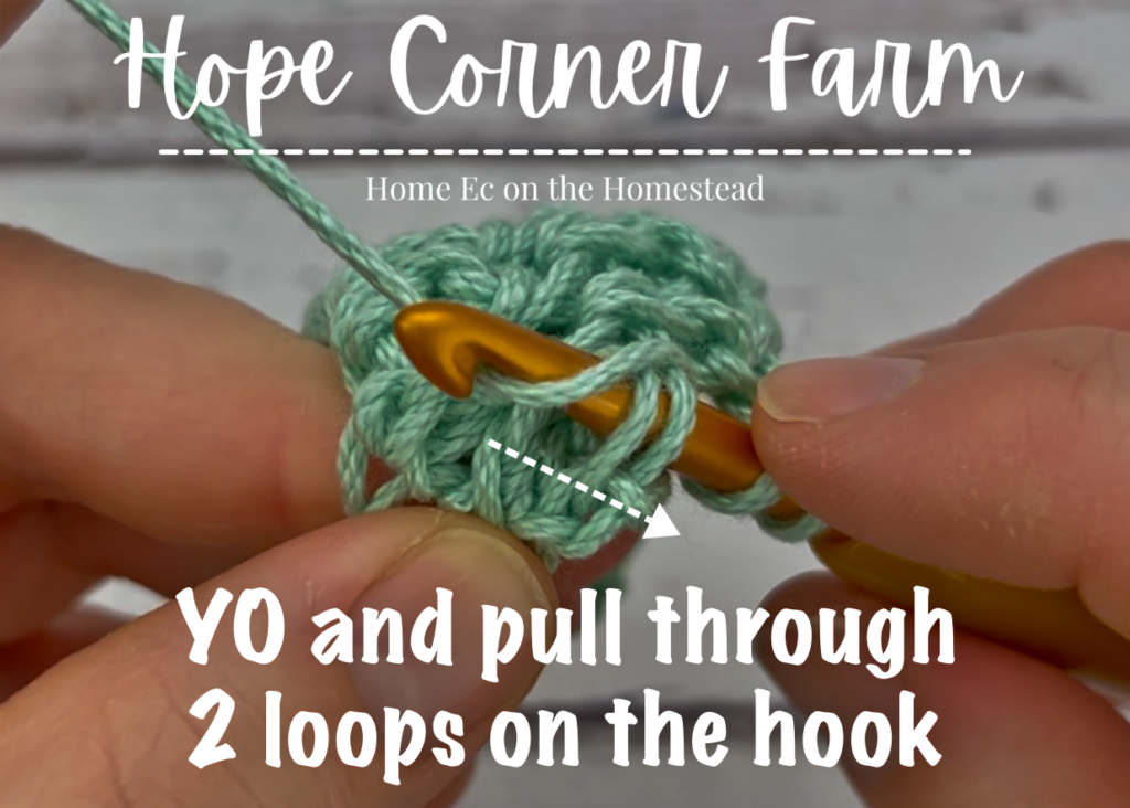 Yarn over and pull through 2 loops on the hook