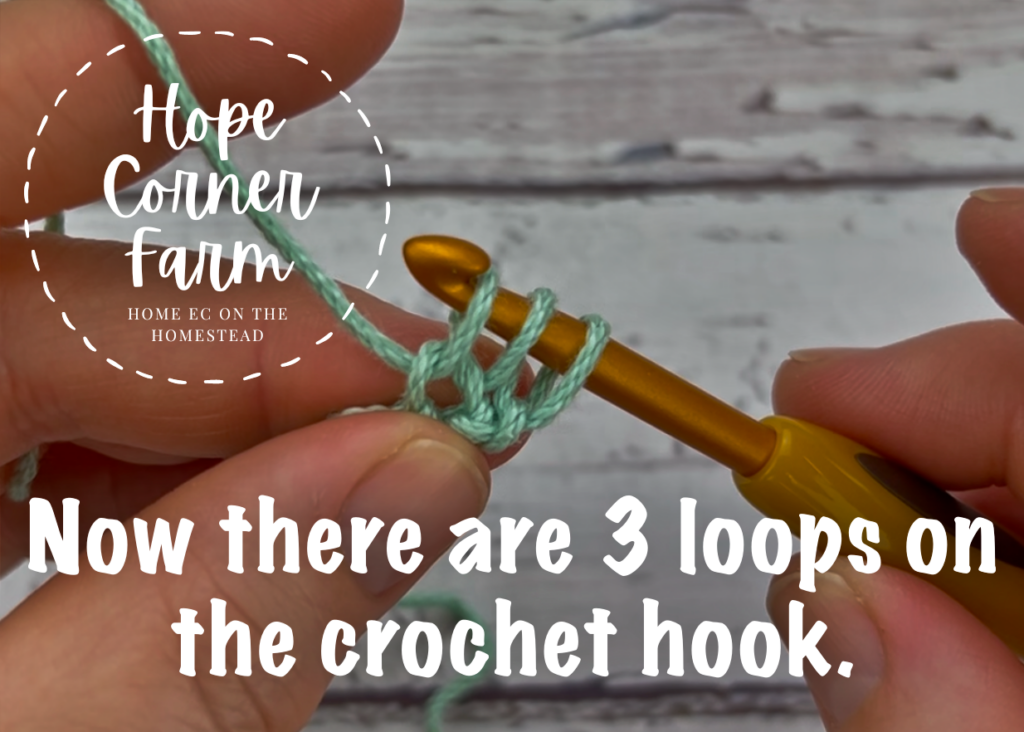 now there are 3 loops of yarn on the crochet hook