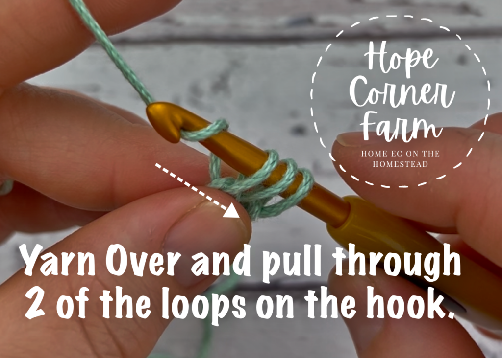 yarn over and pull through 2 loops on the hook