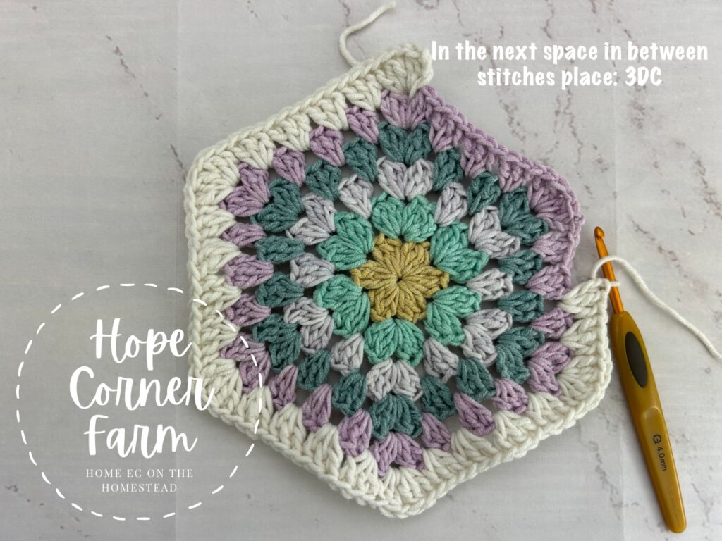 3 double crochet in the next space