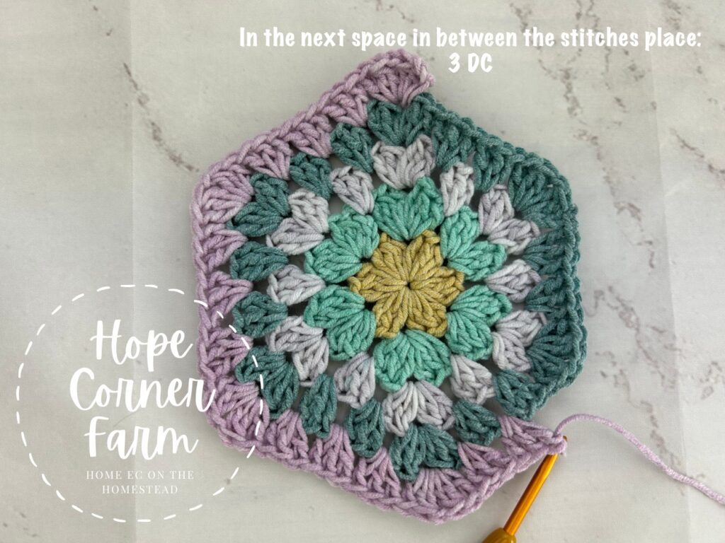 3 double crochet stitches in the next space