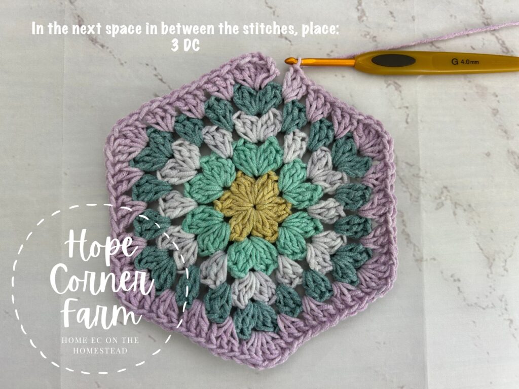 last crochet stitches for round 5