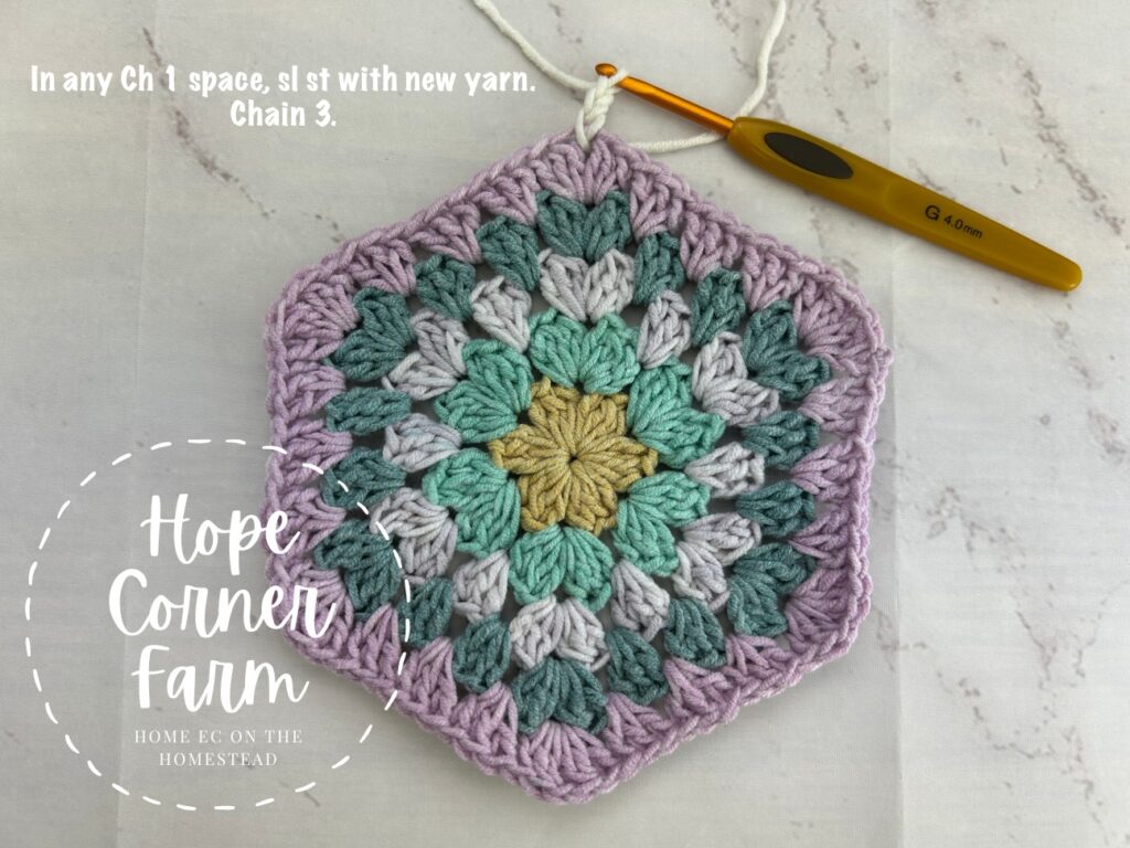 In any chain 1 space slip stitch with new color and chain 3