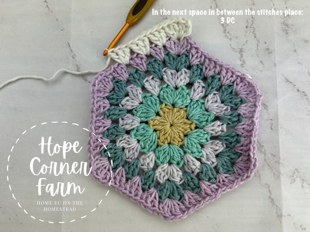 3 double crochet stitches in the next space