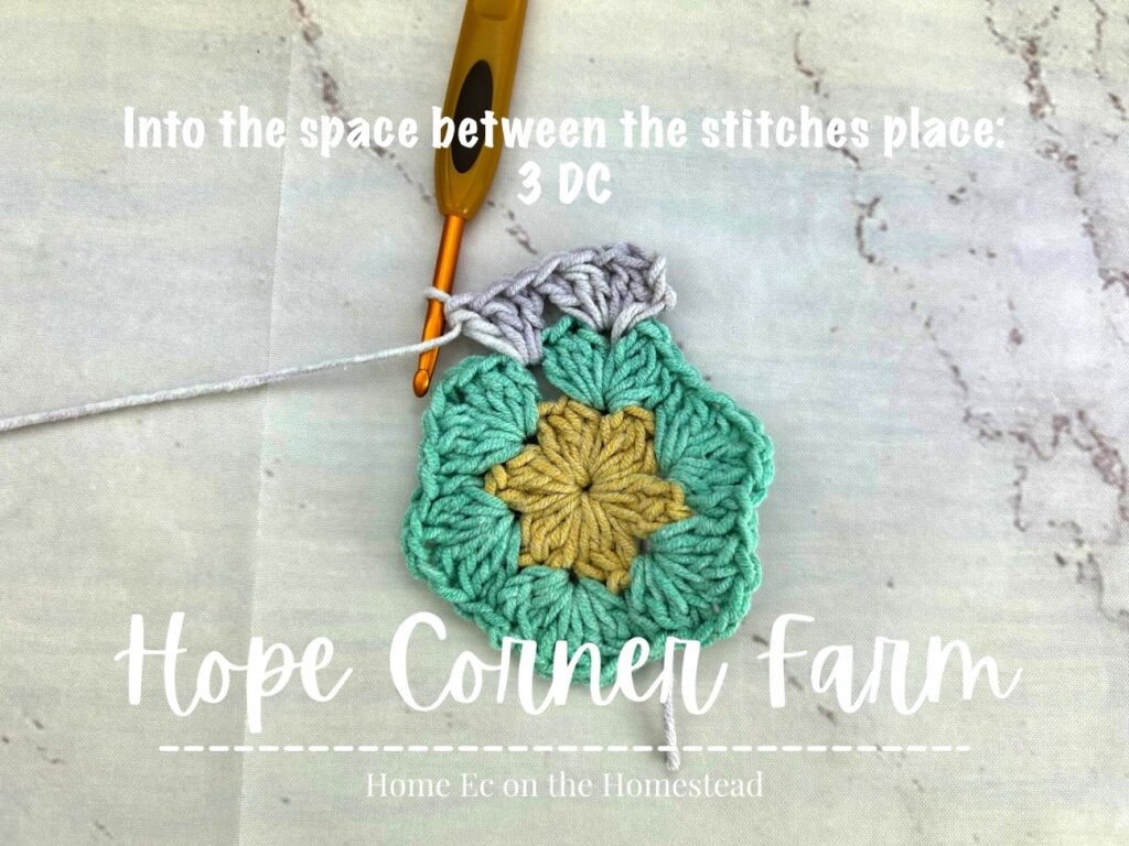 Into the space in between the stitches place 3 double crochets