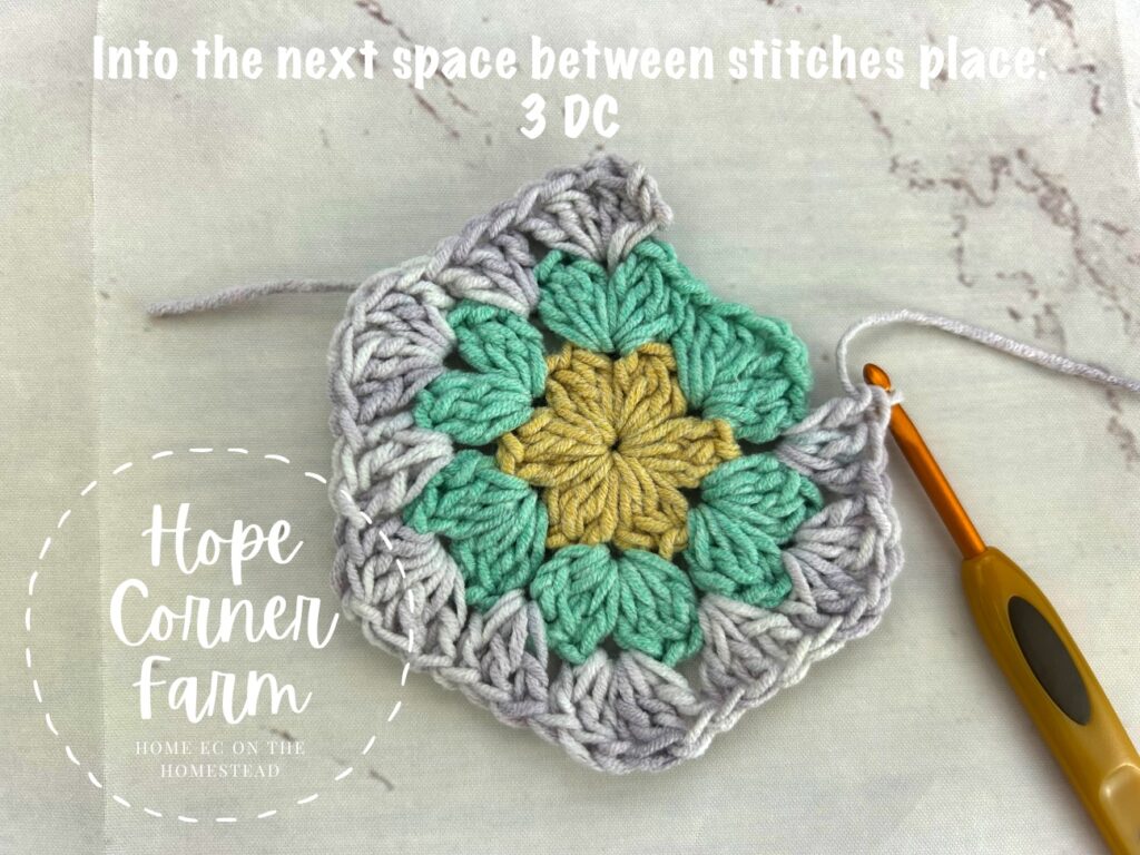 place 3 double crochet stitches in the next space