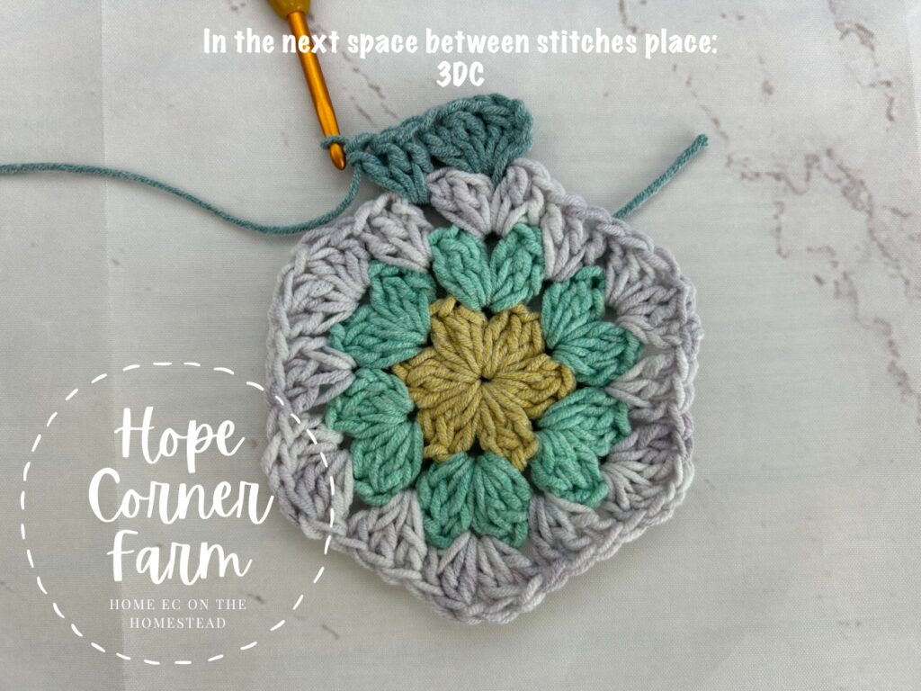 3 DC crochet stitches in the next space