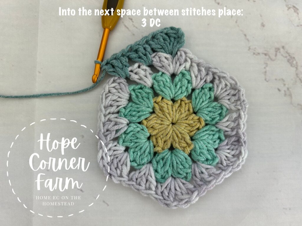 3 double crochet stitches in the next space