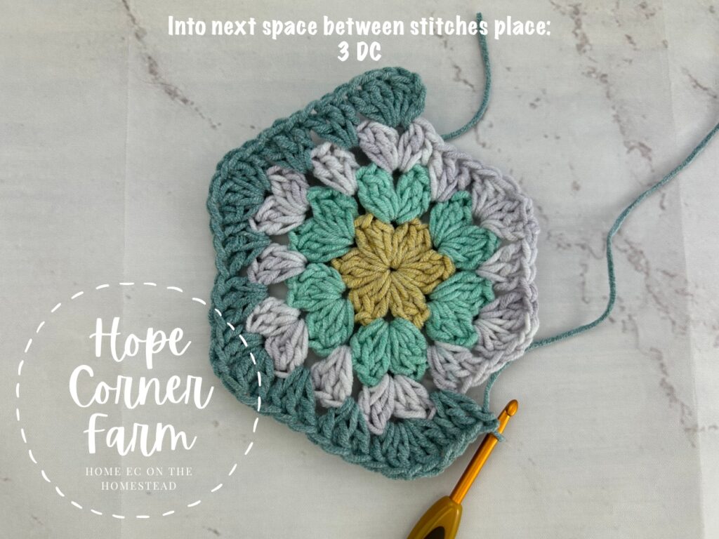 3 double crochet stitches in next