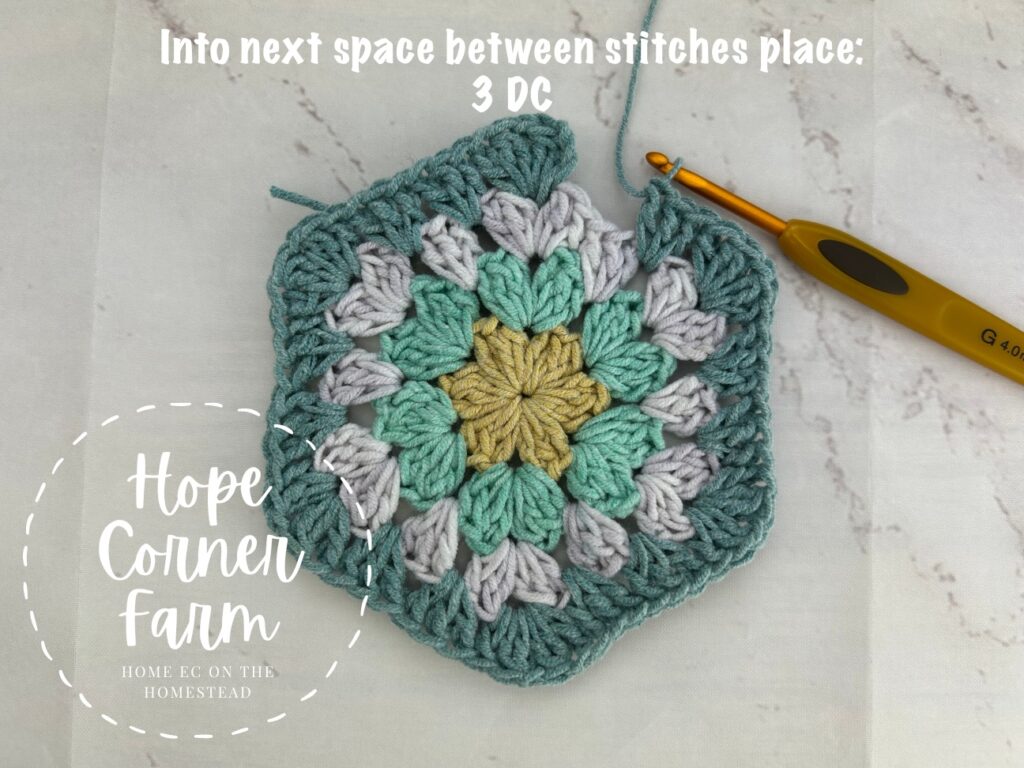 place 3 double crochet stitches in the next space