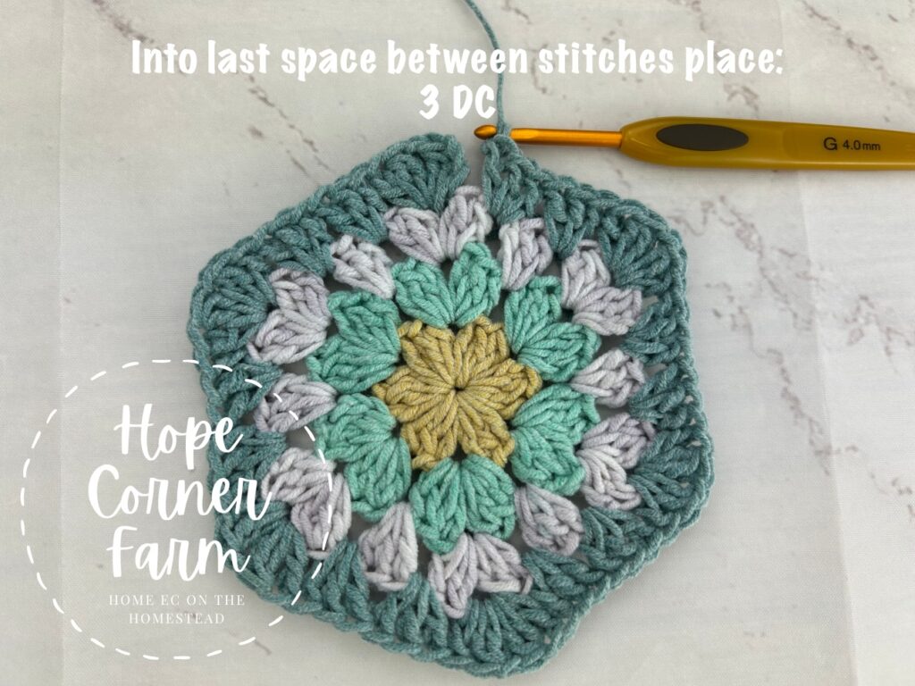 3 DC stitches in the next space
