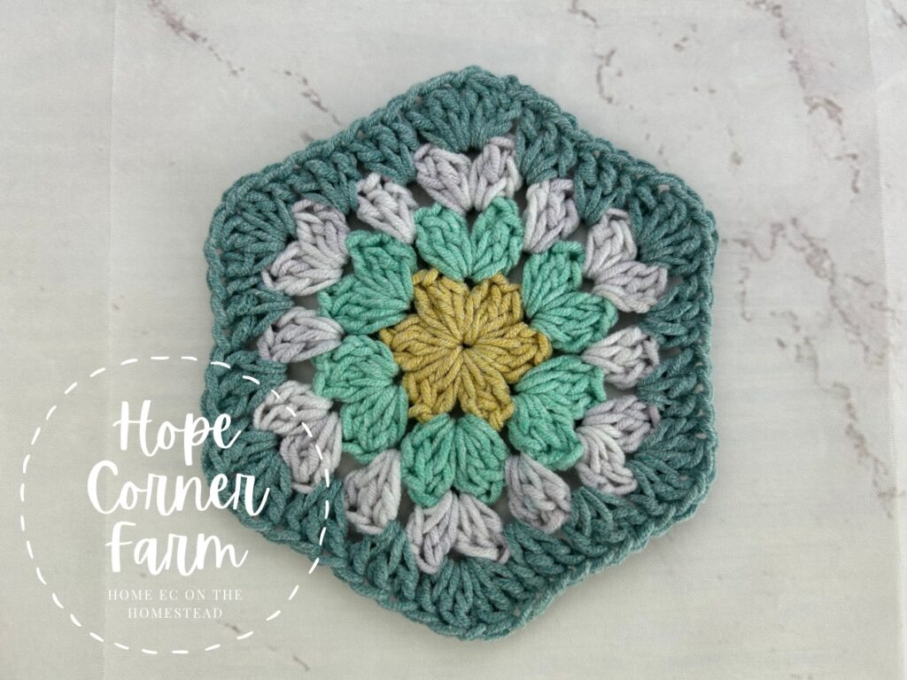Completed round 4 of crochet