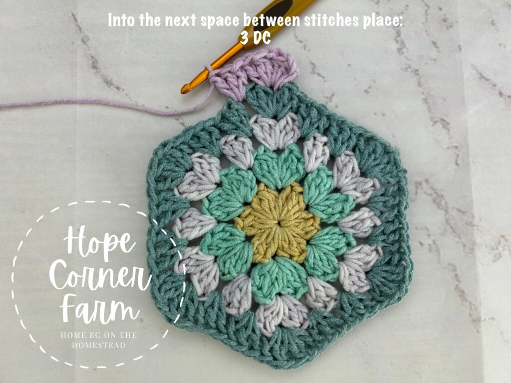 place 3 double crochets in the next space