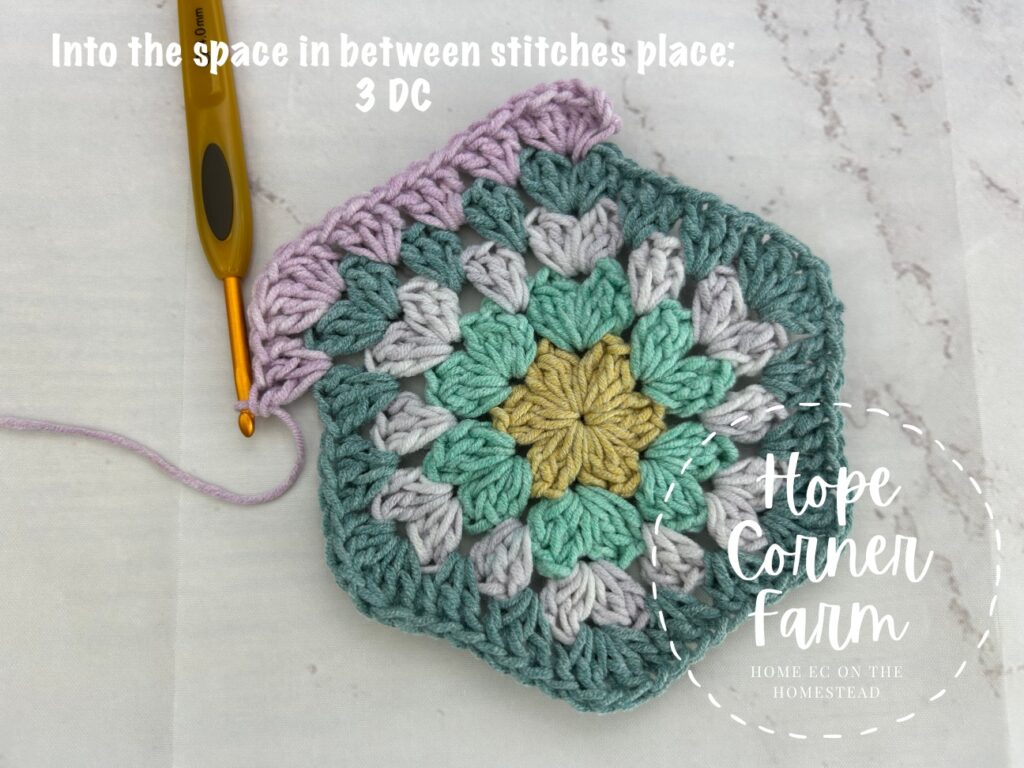 place 3 double crochet stitches in the next space