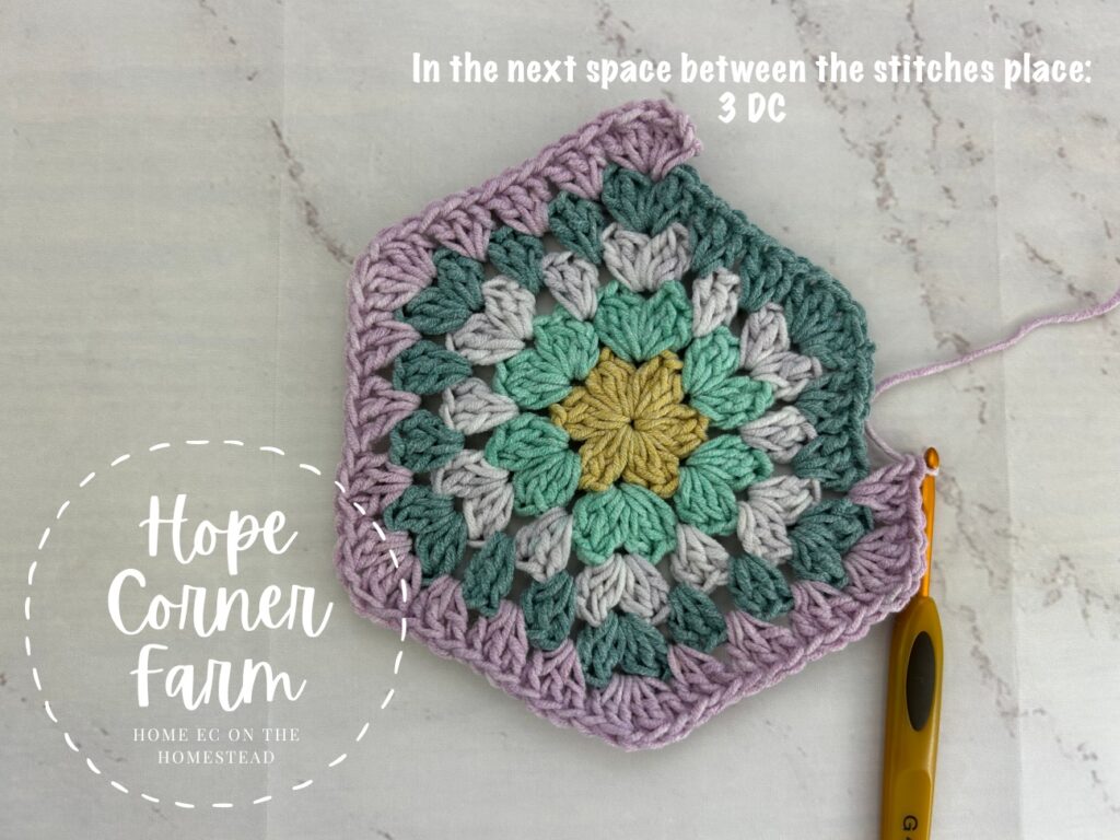 3 double crochet stitches in the next space