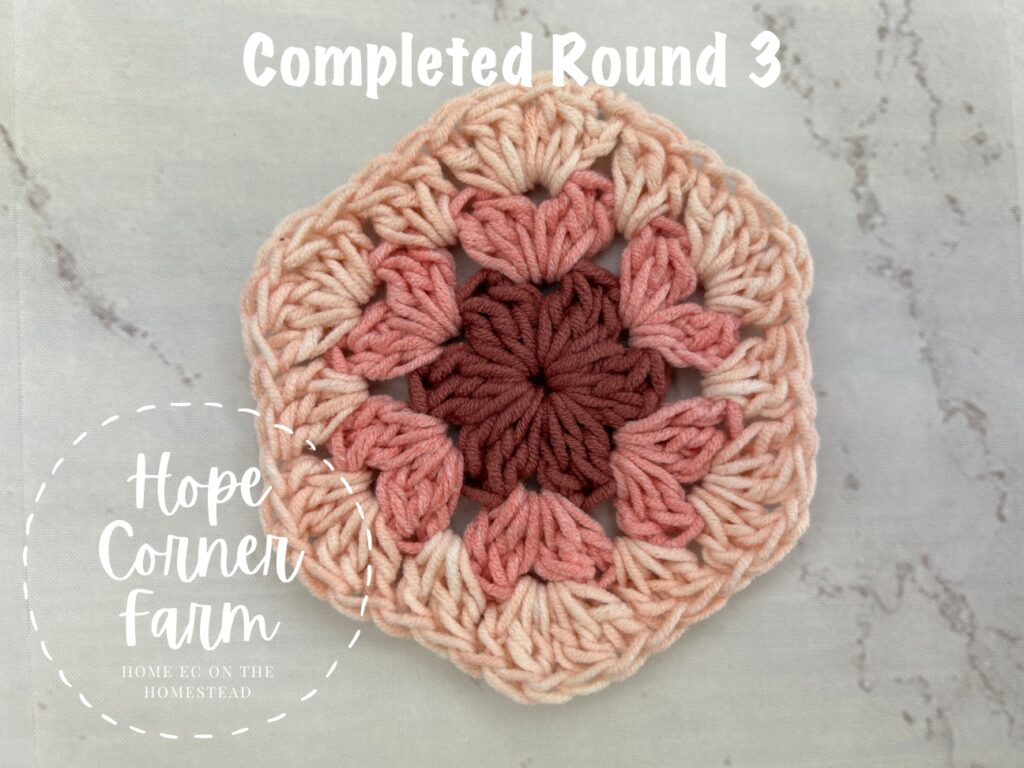 Completed Round 3 of the Easy Ombre Granny Hexagon Crochet Pattern