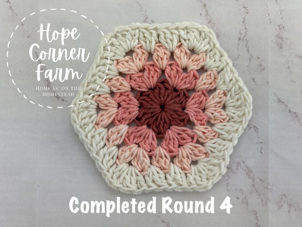 Ombre Crochet Granny Hexagon