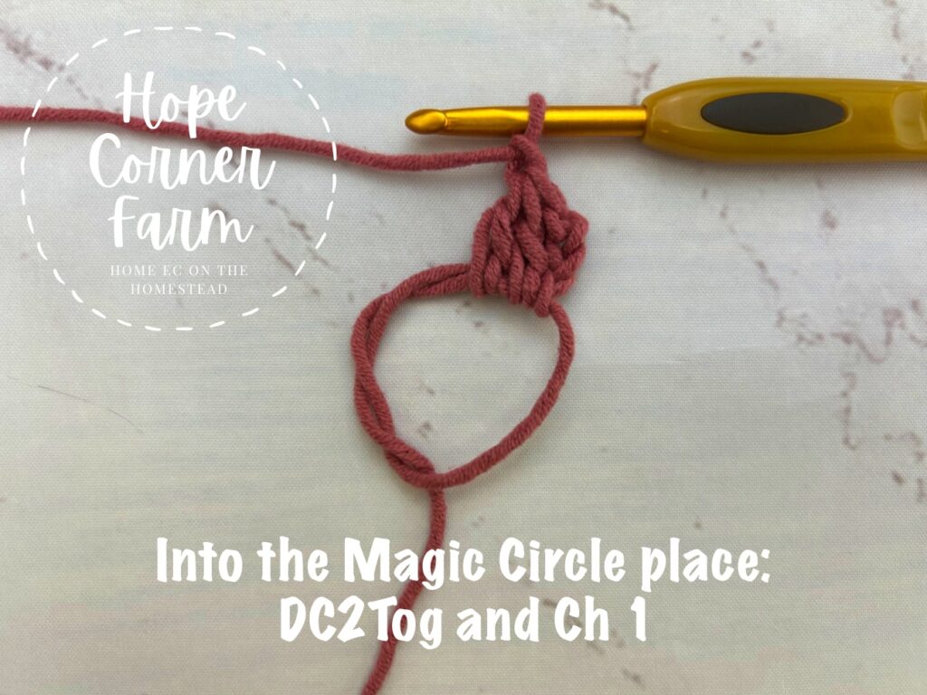 Into the magic circle place DC2tog, and a Chain 1