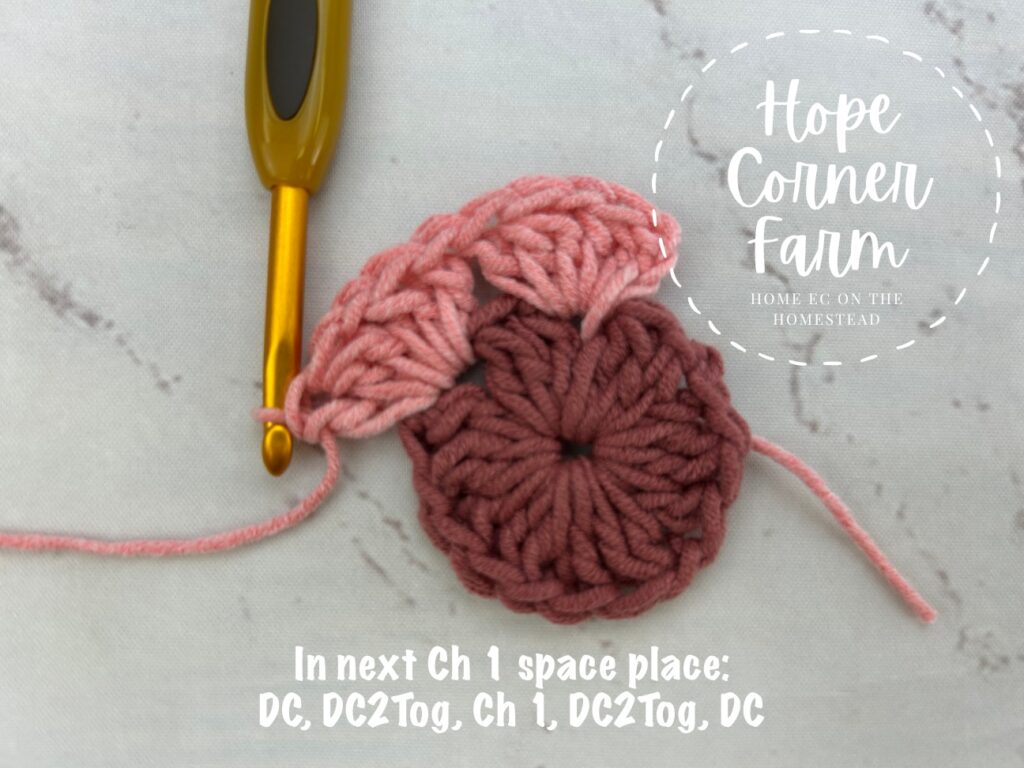 2nd corner completed for the Easy Ombre Granny Hexagon Crochet Pattern