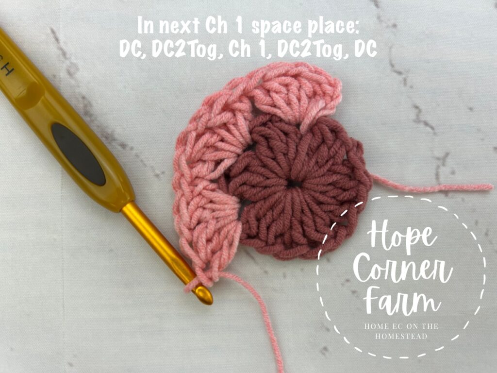 In the next chain 1 space place DC, DC2Tog, Ch 1, DC2Tog, DC