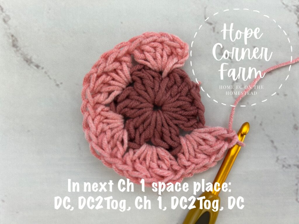 In the next chain 1 space place DC, DC2Tog, Ch 1, DC2Tog, DC