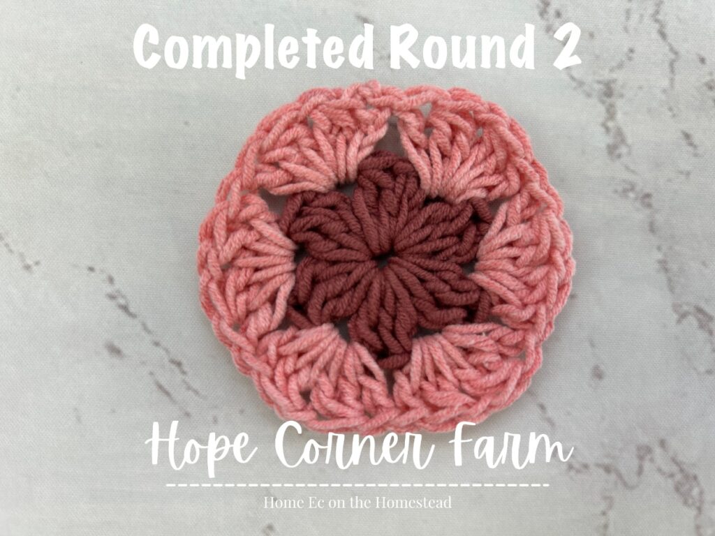Completed Round 2 of the Easy Ombre Granny Hexagon Crochet Pattern