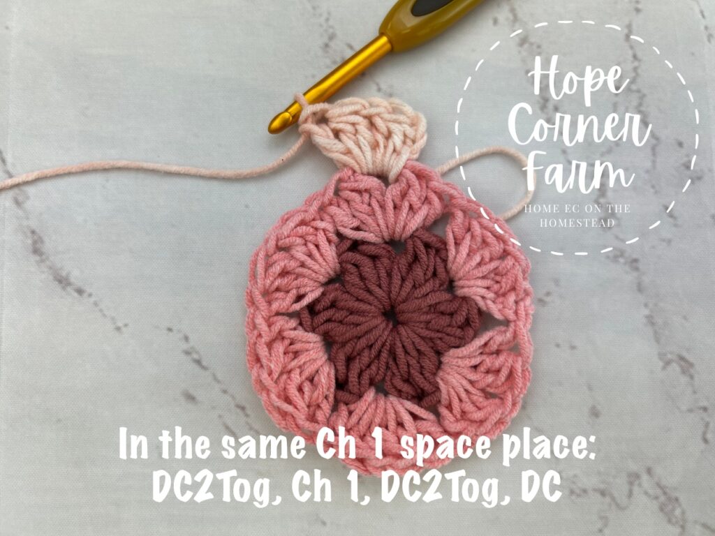 In the same chain 1 space place DC2Tog, Ch 1, DC2Tog, DC. This completes the 1st corner of the crochet hexagon.