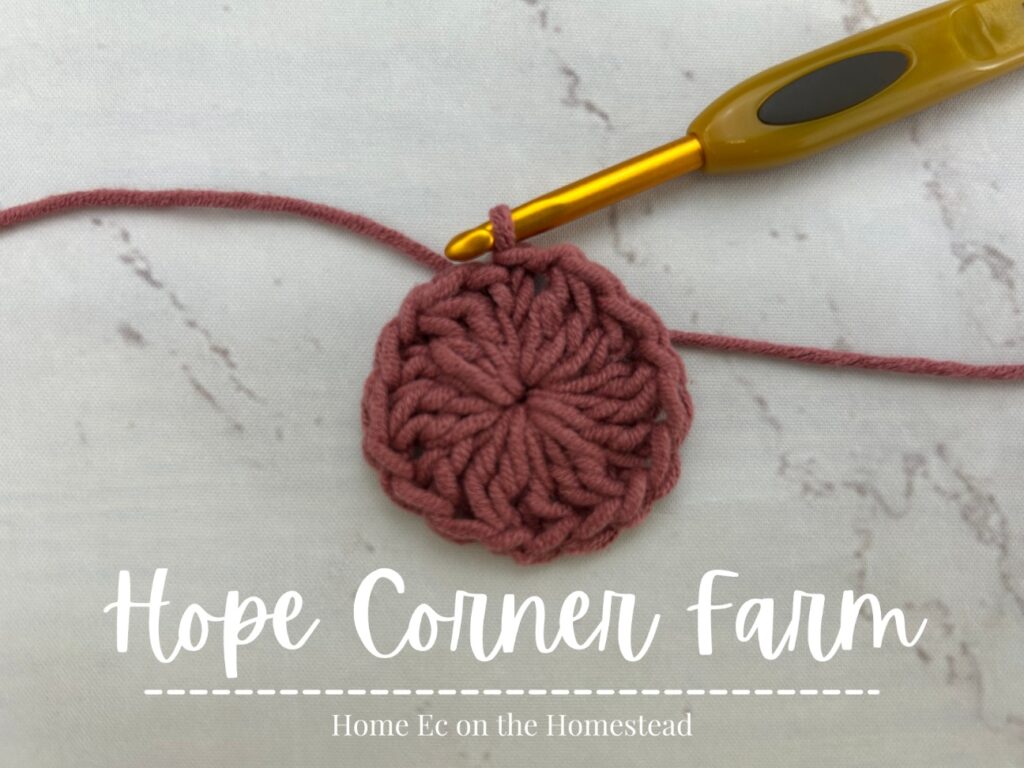 Close the Round by joining with a slip stitch to the top of the chain 3