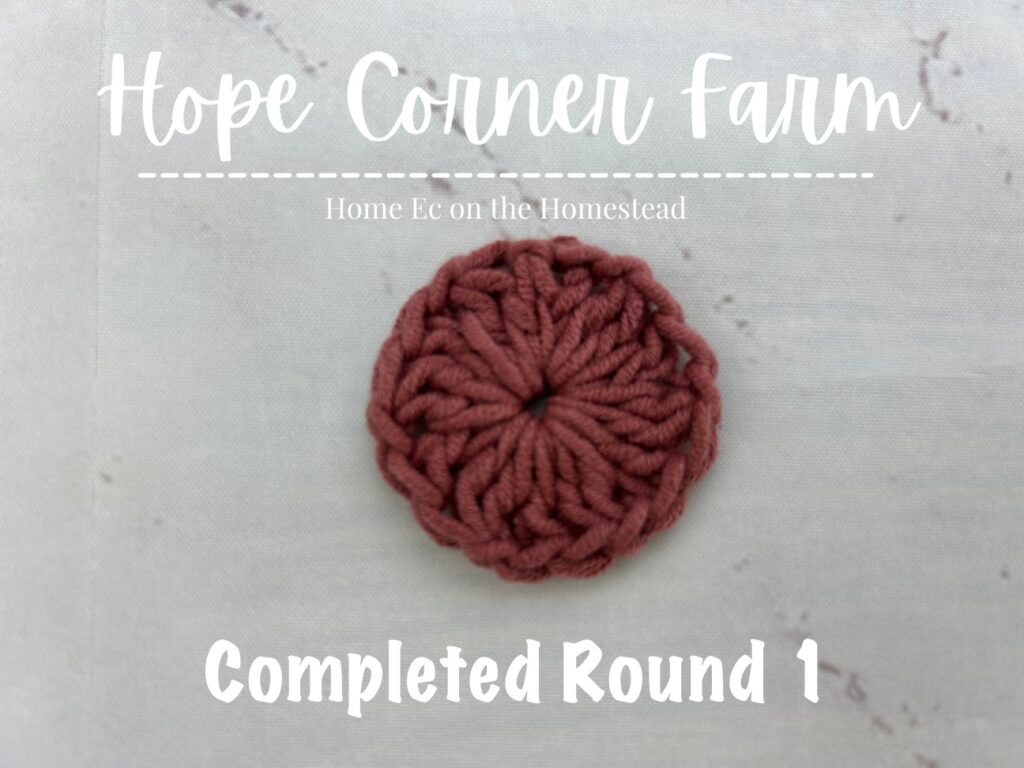 Completed Round 1 of the Easy Ombre Granny Hexagon Crochet Pattern