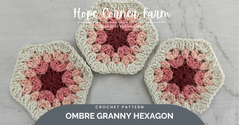 Easy Ombre Granny Hexagon Crochet Pattern (Free Pattern + Tutorial)