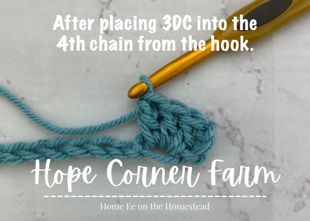 Place 3 double crochets in the 4th chain from the crochet hook